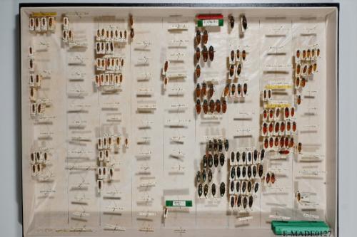 © Landessammlungen NÖ, Foto: Johann Nesweda