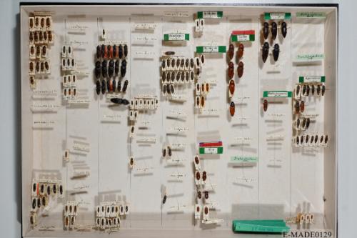 © Landessammlungen NÖ, Foto: Johann Nesweda