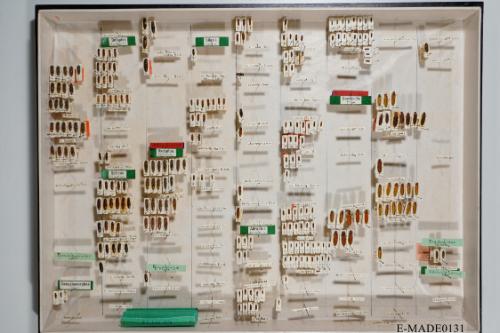 © Landessammlungen NÖ, Foto: Johann Nesweda