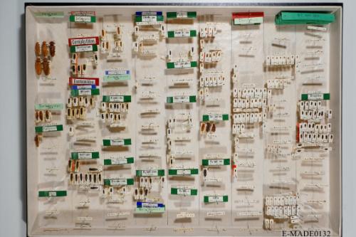 © Landessammlungen NÖ, Foto: Johann Nesweda