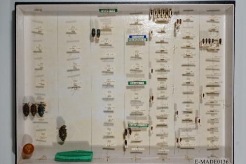 © Landessammlungen NÖ, Foto: Johann Nesweda