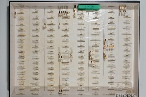 © Landessammlungen NÖ, Foto: Johann Nesweda