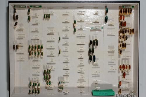 © Landessammlungen NÖ, Foto: Johann Nesweda