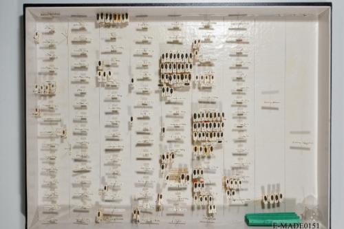 © Landessammlungen NÖ, Foto: Johann Nesweda