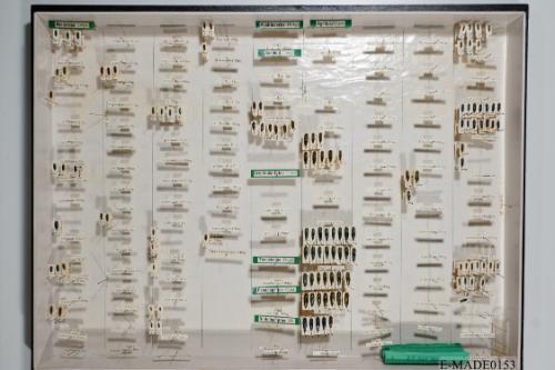 © Landessammlungen NÖ, Foto: Johann Nesweda