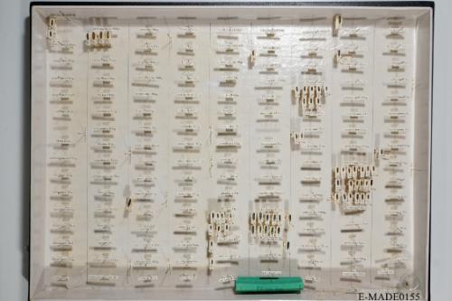 © Landessammlungen NÖ, Foto: Johann Nesweda