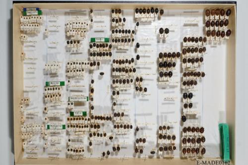 © Landessammlungen NÖ, Foto: Johann Nesweda