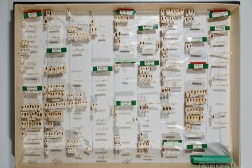 © Landessammlungen NÖ, Foto: Johann Nesweda