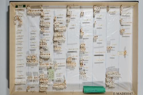 © Landessammlungen NÖ, Foto: Johann Nesweda