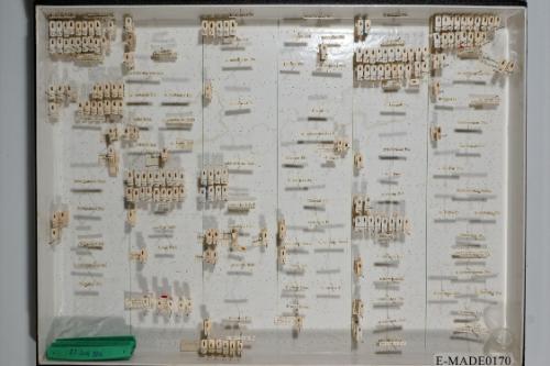 © Landessammlungen NÖ, Foto: Johann Nesweda