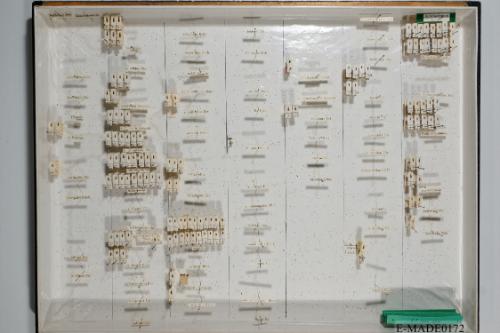 © Landessammlungen NÖ, Foto: Johann Nesweda