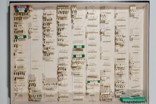 © Landessammlungen NÖ, Foto: Johann Nesweda