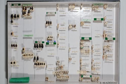 © Landessammlungen NÖ, Foto: Johann Nesweda