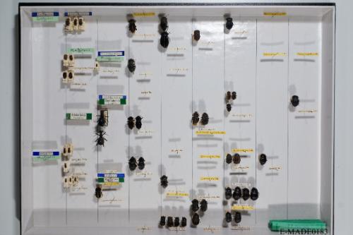 © Landessammlungen NÖ, Foto: Johann Nesweda