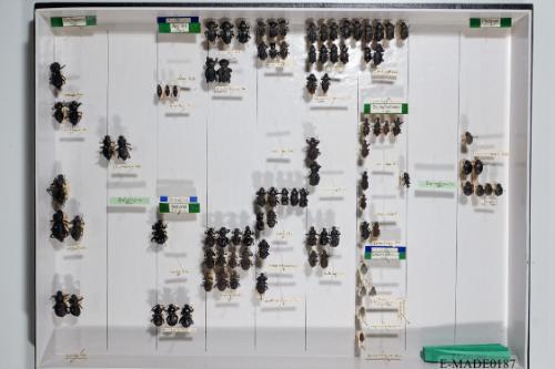 © Landessammlungen NÖ, Foto: Johann Nesweda