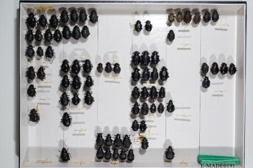 © Landessammlungen NÖ, Foto: Johann Nesweda