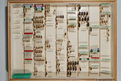 © Landessammlungen NÖ, Foto: Johann Nesweda