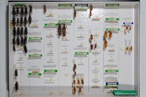 © Landessammlungen NÖ, Foto: Johann Nesweda