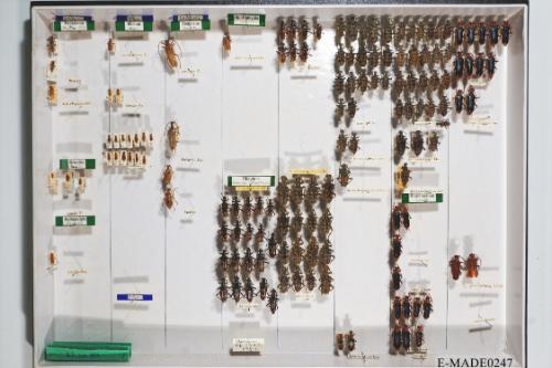 © Landessammlungen NÖ, Foto: Johann Nesweda