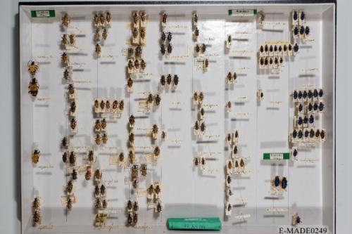 © Landessammlungen NÖ, Foto: Johann Nesweda