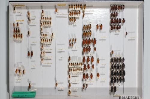 © Landessammlungen NÖ, Foto: Johann Nesweda