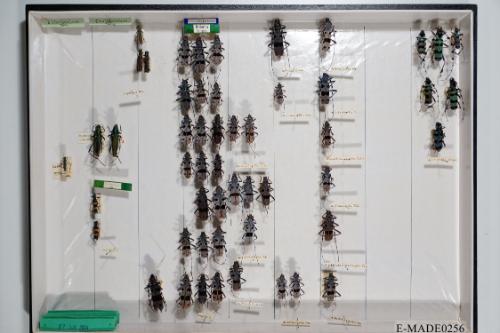 © Landessammlungen NÖ, Foto: Johann Nesweda