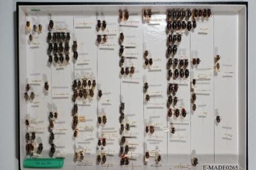 © Landessammlungen NÖ, Foto: Johann Nesweda