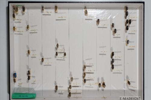 © Landessammlungen NÖ, Foto: Johann Nesweda