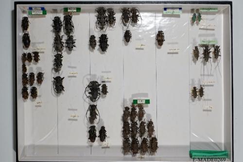 © Landessammlungen NÖ, Foto: Johann Nesweda