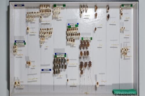 © Landessammlungen NÖ, Foto: Johann Nesweda