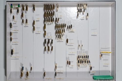 © Landessammlungen NÖ, Foto: Johann Nesweda