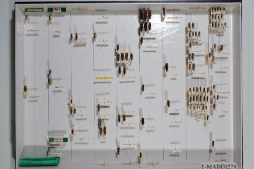 © Landessammlungen NÖ, Foto: Johann Nesweda