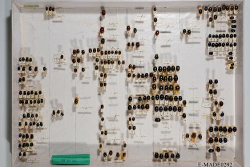 © Landessammlungen NÖ, Foto: Johann Nesweda