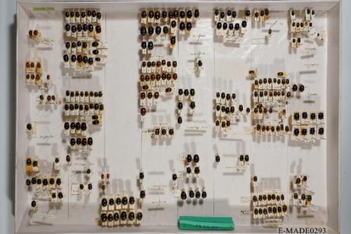 © Landessammlungen NÖ, Foto: Johann Nesweda