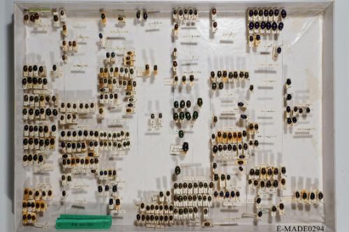 © Landessammlungen NÖ, Foto: Johann Nesweda