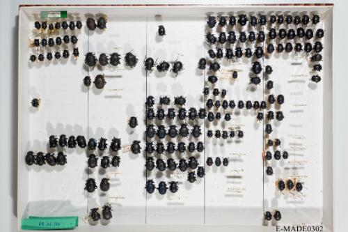 © Landessammlungen NÖ, Foto: Johann Nesweda