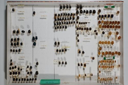 © Landessammlungen NÖ, Foto: Johann Nesweda