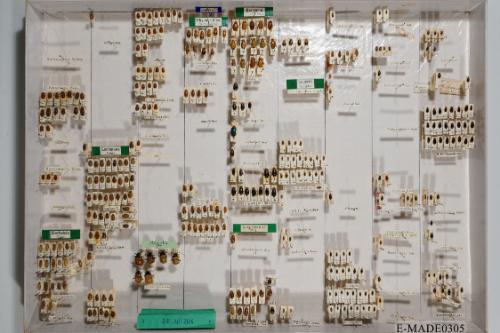 © Landessammlungen NÖ, Foto: Johann Nesweda