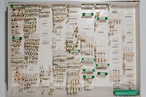 © Landessammlungen NÖ, Foto: Johann Nesweda