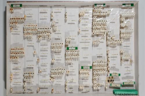 © Landessammlungen NÖ, Foto: Johann Nesweda