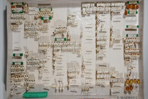 © Landessammlungen NÖ, Foto: Johann Nesweda