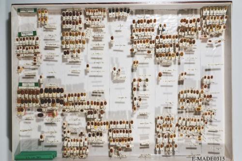 © Landessammlungen NÖ, Foto: Johann Nesweda