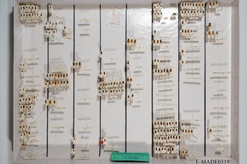 © Landessammlungen NÖ, Foto: Johann Nesweda