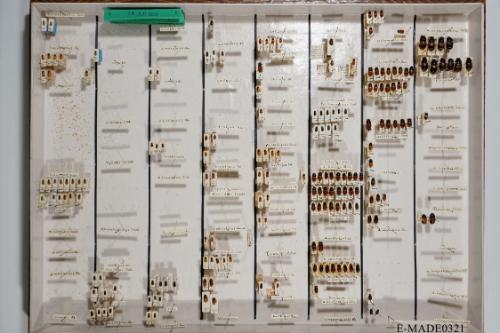 © Landessammlungen NÖ, Foto: Johann Nesweda