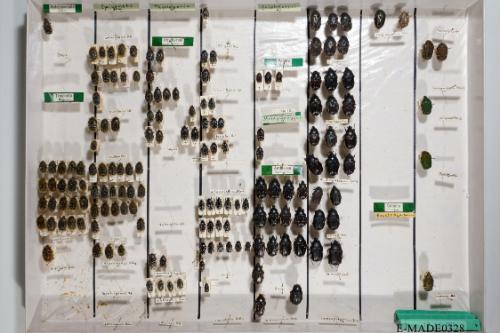 © Landessammlungen NÖ, Foto: Johann Nesweda