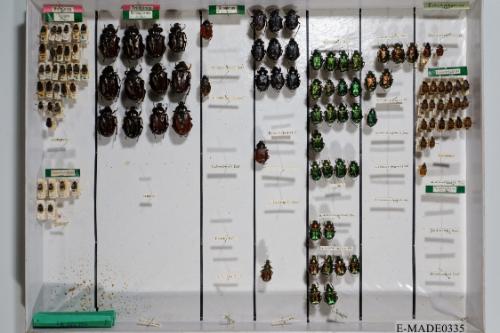 © Landessammlungen NÖ, Foto: Johann Nesweda