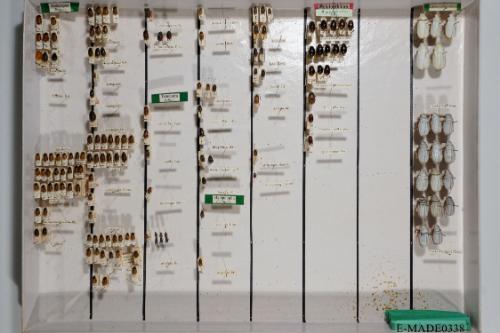 © Landessammlungen NÖ, Foto: Johann Nesweda