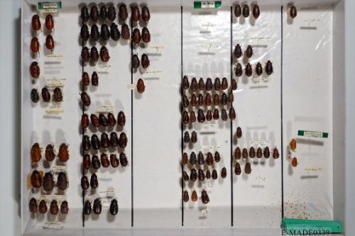 © Landessammlungen NÖ, Foto: Johann Nesweda