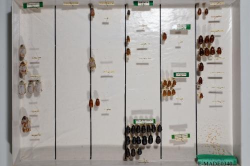 © Landessammlungen NÖ, Foto: Johann Nesweda