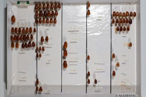 © Landessammlungen NÖ, Foto: Johann Nesweda